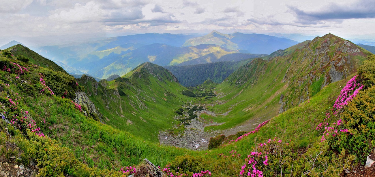 Насолодитись красою. Незвичайні квіткові локації для подорожі на вікенд